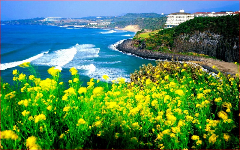 du lịch Đảo Jeju