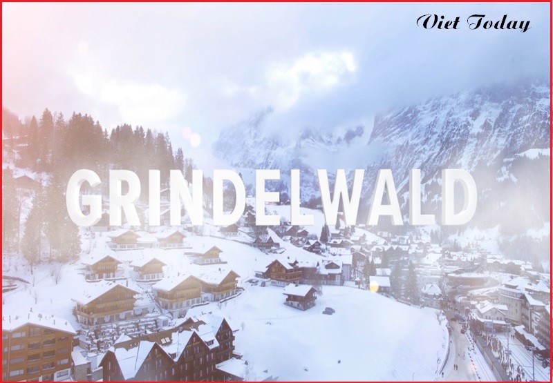 Lễ hội tuyết Grindelwald thuy si