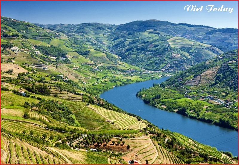 Vé giá rẻ đi Alto Douro 